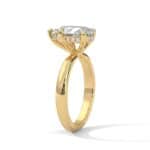 the ivora setting