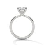 the ivora setting