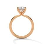 the ivora setting