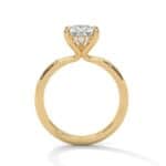 the ivora setting