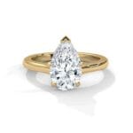 the cardinal cathedral setting