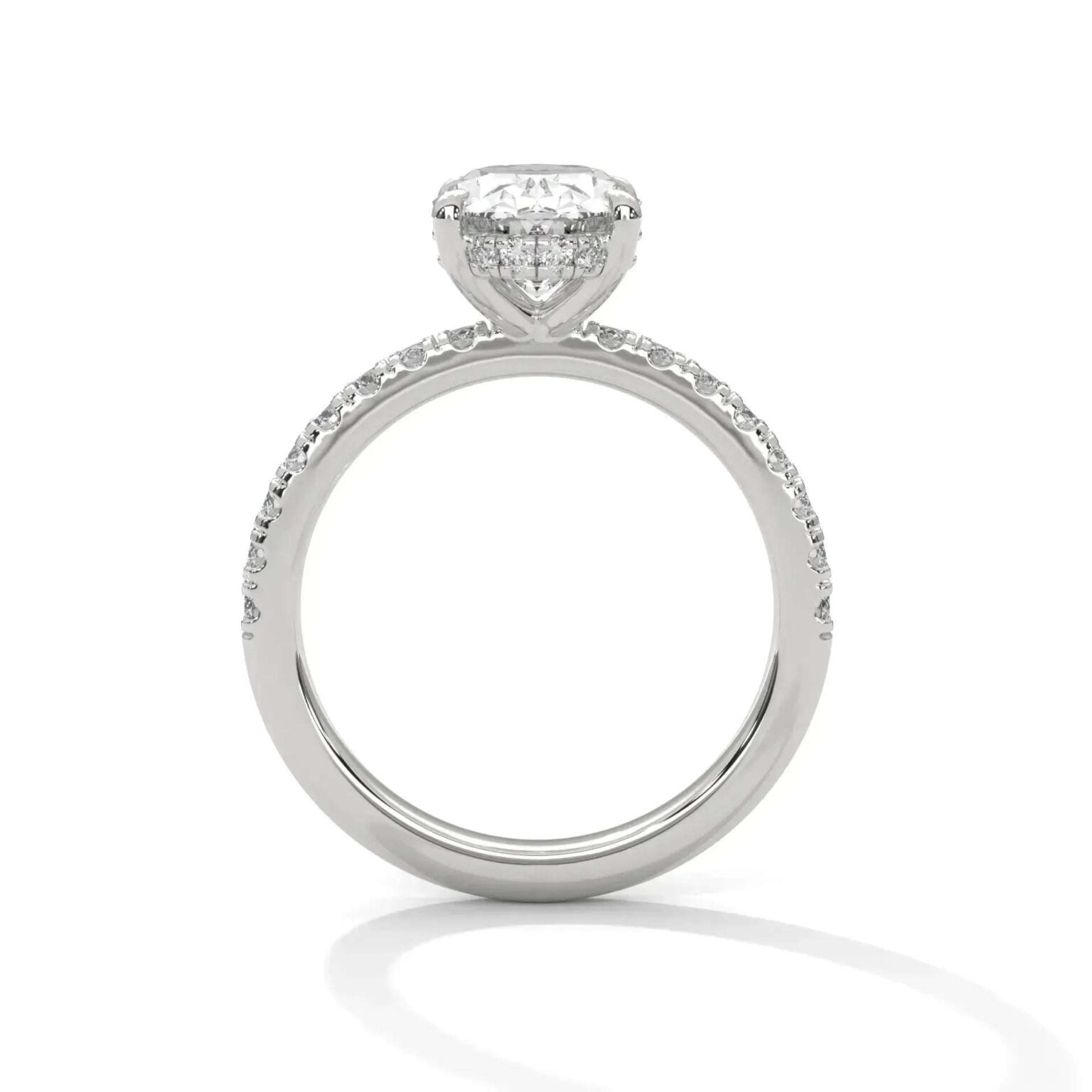 the sun belt setting