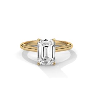 the solstice tulip setting