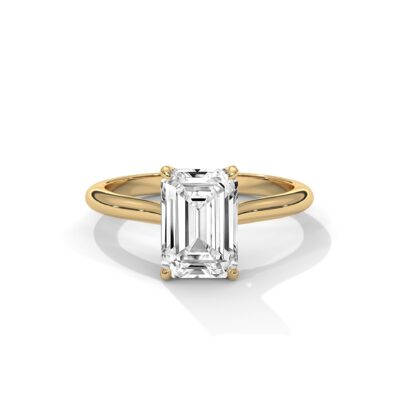 the solstice tulip setting