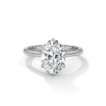 the solstice tulip setting