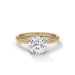 the solstice tulip setting