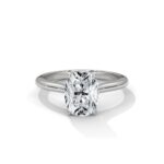 the solstice tulip setting