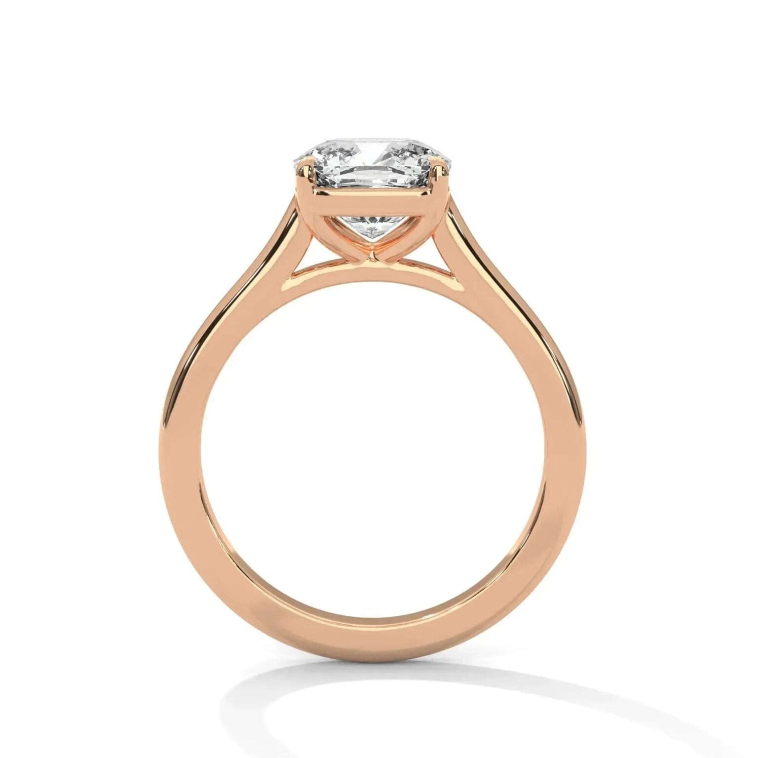 the cardinal cathedral setting