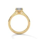 the cardinal cathedral setting