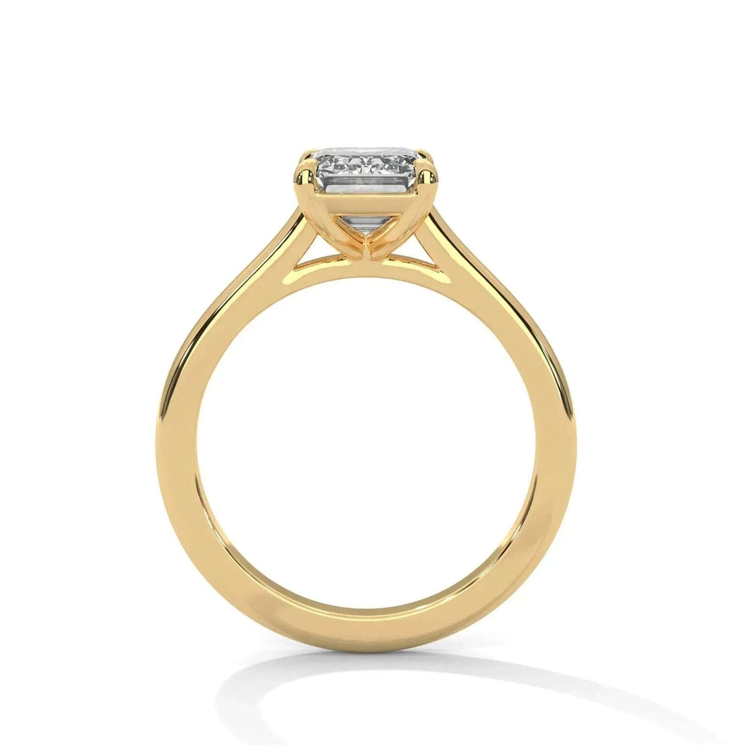 the cardinal cathedral setting