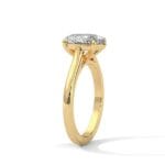 the cardinal cathedral setting