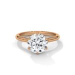 the solstice tulip setting