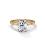 the solstice tulip setting