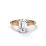 the solstice tulip setting