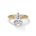 the solstice tulip setting