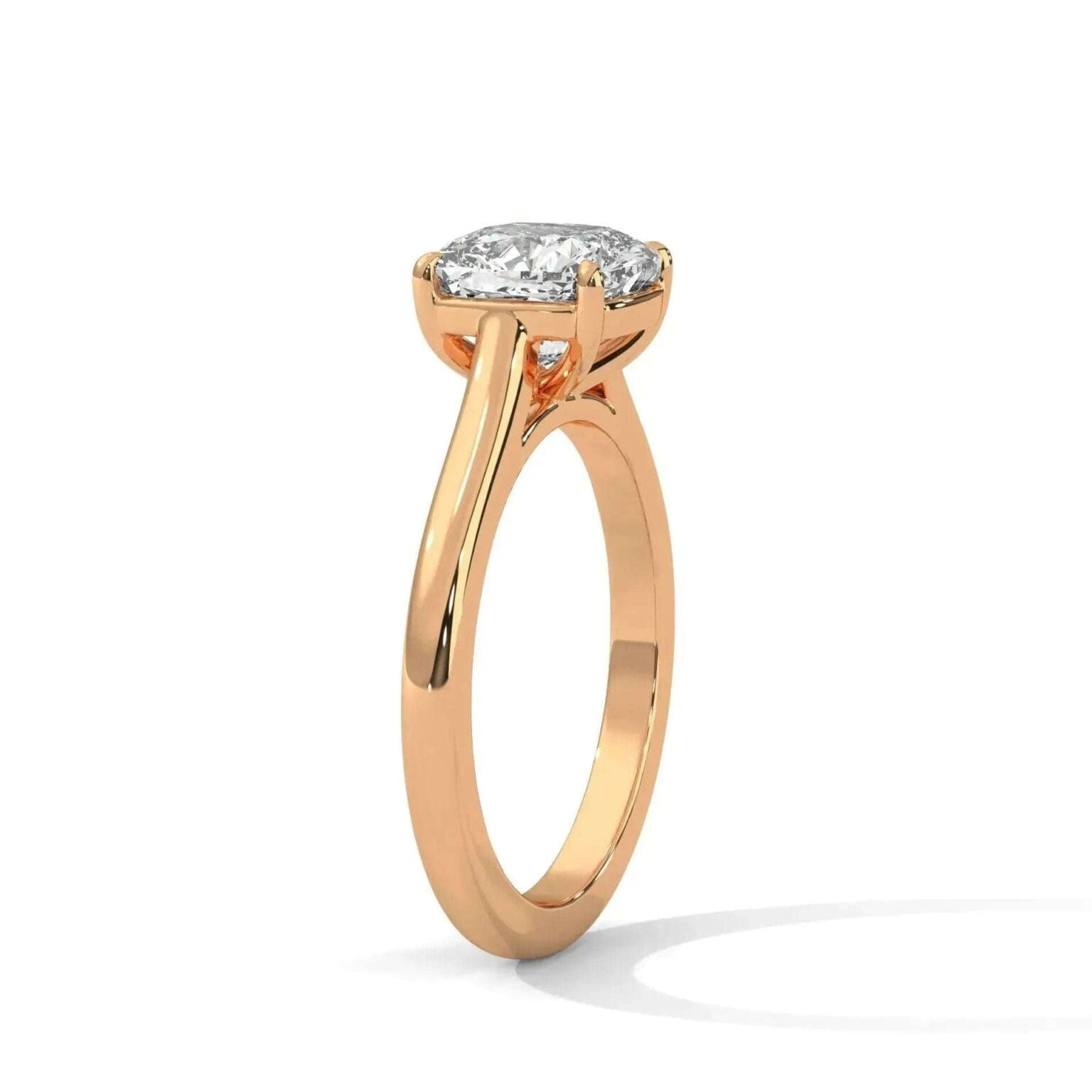 the cardinal cathedral setting