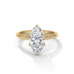 the solstice tulip setting