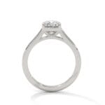 the cardinal cathedral setting