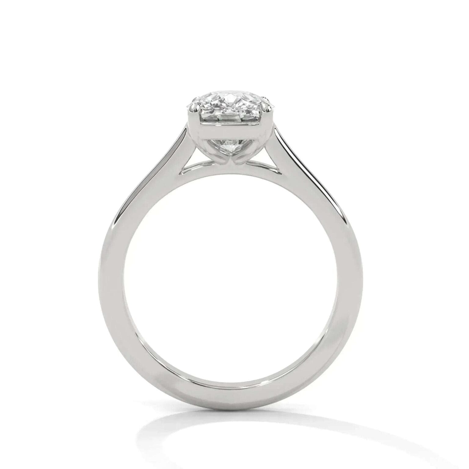 the cardinal cathedral setting