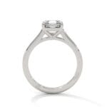 the cardinal cathedral setting