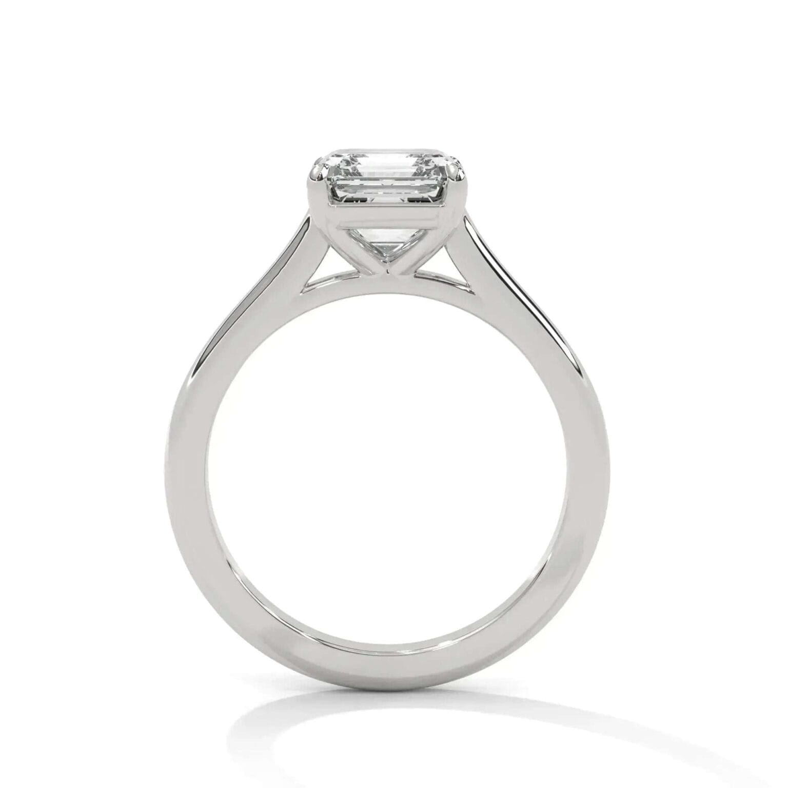 the cardinal cathedral setting