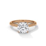 the solstice tulip setting