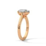 the cardinal cathedral setting