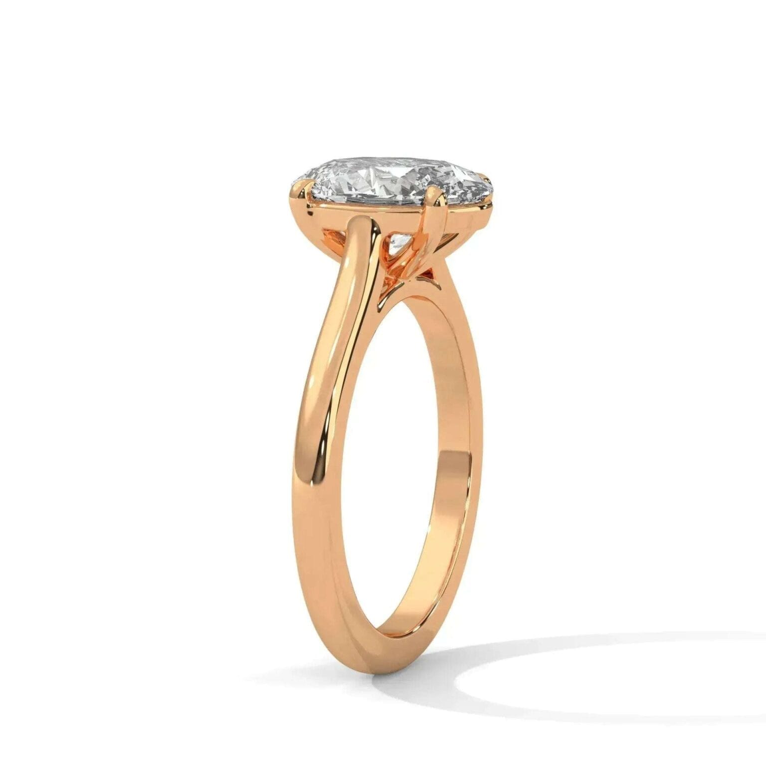 the cardinal cathedral setting