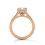 the cardinal cathedral setting