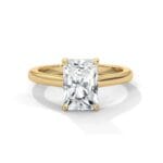 the cardinal cathedral setting