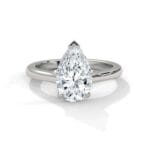 the cardinal cathedral setting