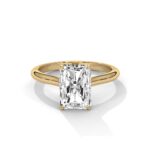 the solstice tulip setting