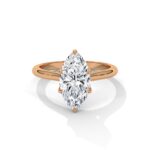 the solstice tulip setting