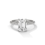 the solstice tulip setting