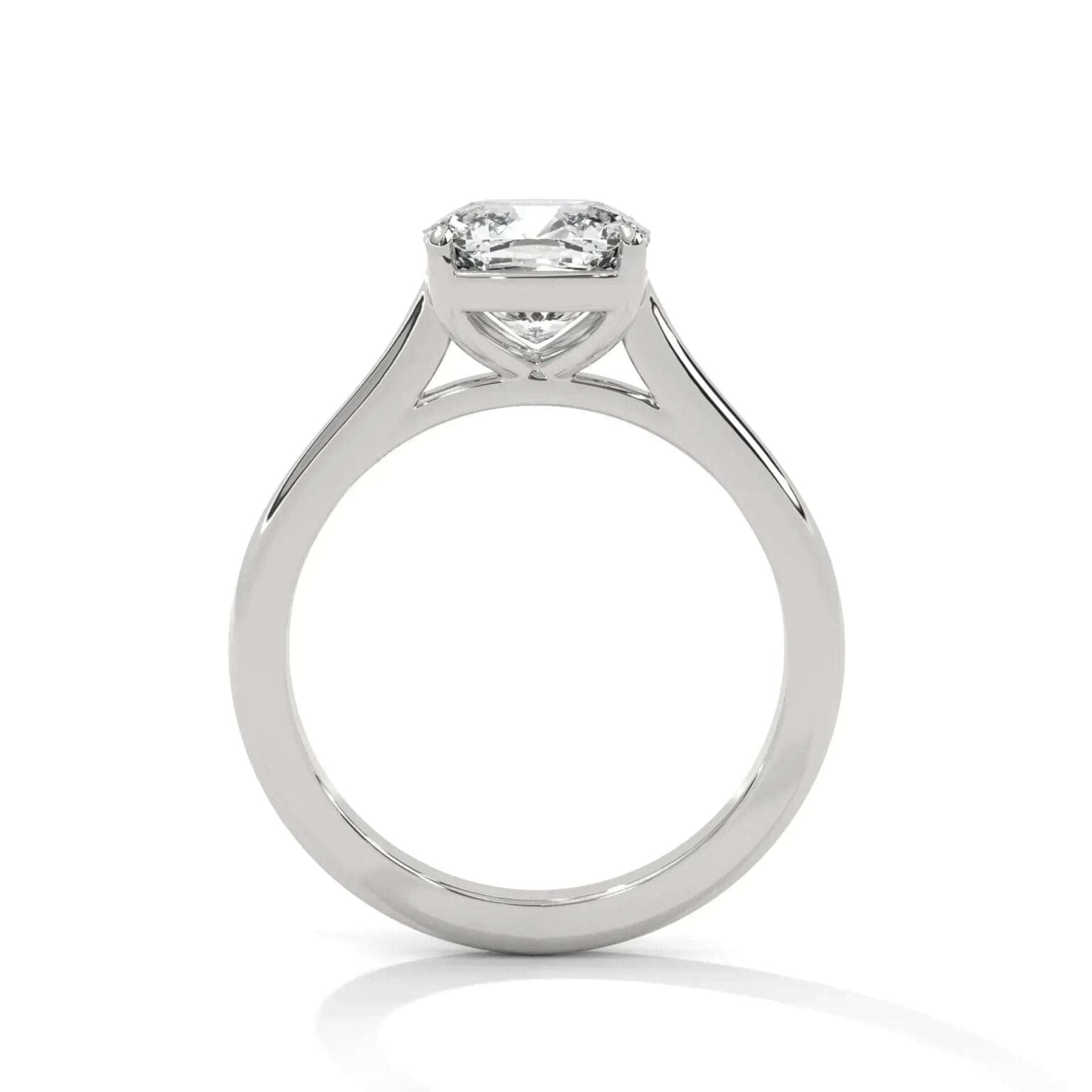 the cardinal cathedral setting