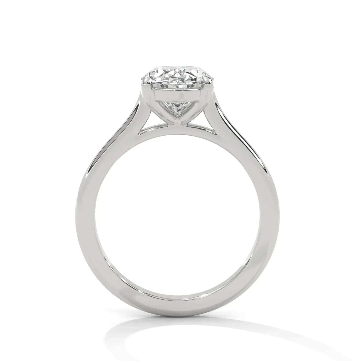 the cardinal cathedral setting