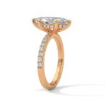 the sun belt setting