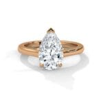 the cardinal cathedral setting