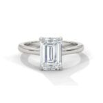 the cardinal cathedral setting