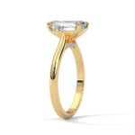 the solstice tulip setting