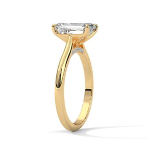 the solstice tulip setting