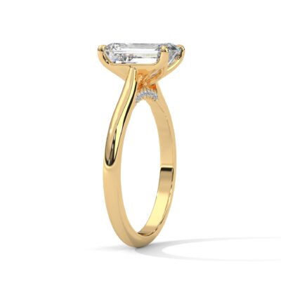 the solstice tulip setting