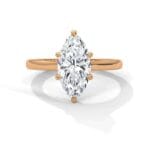 the cardinal cathedral setting