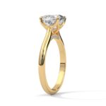 the solstice tulip setting