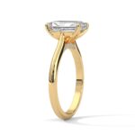 the solstice tulip setting