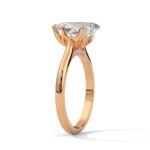 the solstice tulip setting