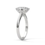 the solstice tulip setting