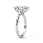 the solstice tulip setting