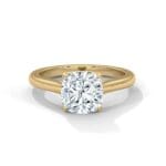 the cardinal cathedral setting