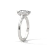 the cardinal cathedral setting